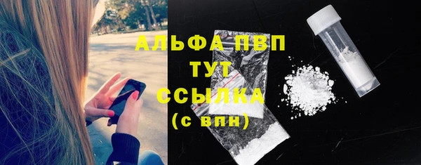 молекула духа Алексеевка