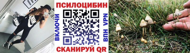 Галлюциногенные грибы MAGIC MUSHROOMS  mega зеркало  Миньяр 